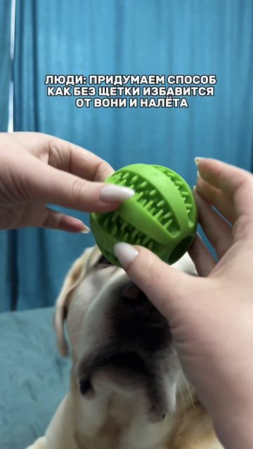 Мы купили игрушку , на которую наносим  👉 Зубной  гель #WW289331 и во время игры ,гель попадая на зу