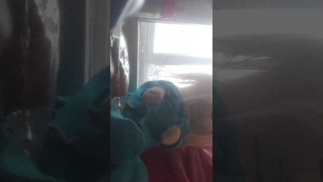 🐕Уход за Лаки доги🪮🌿