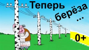 0+  Теперь берёза …