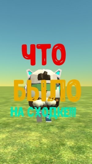 что было на моей сходке
