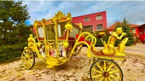 Тайган расцвел НЕЖНЕЙШИМИ красками, ароматы просто головокружительные❤️