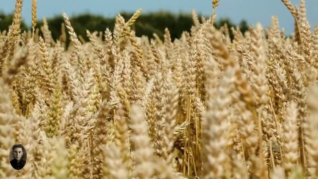 Пехота - Царица полей