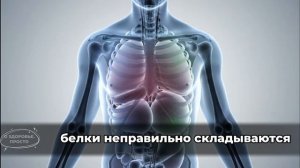 23 часа без еды: что происходит внутри тебя в это время (по часам).