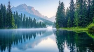 Коран сура Аз-Зухруф чтец Мухаммад аль-Факих