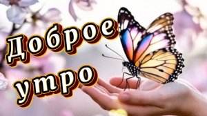 Доброе утро! Пожелания доброго утра