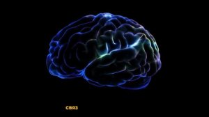 МАЙНИНГ НА ПЫТКАХ, ИСТЯЗАНИЯХ, ПРЕСЛЕДОВАНИЯХ, ПРОДАЖА ЛЮДЕЙ НА ЭКСПЕРИМЕНТЫ