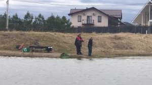 поимка форели на спиннинг