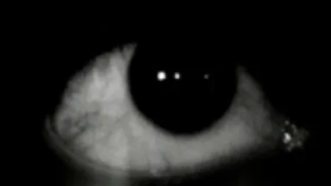 дуолинго в чикен ган