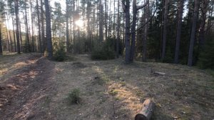 Нагонка#3 (12.04.2026)