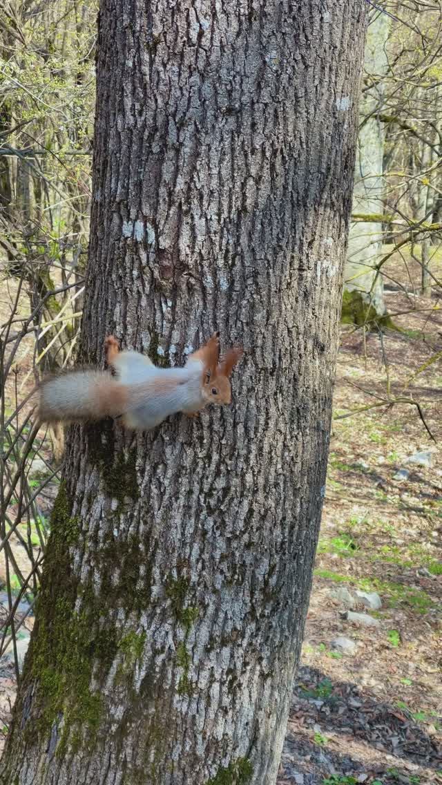 Доброе солнечное утро