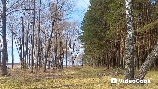 Можайское водохранилище. Апрель 2026 г. смотреть онлайн