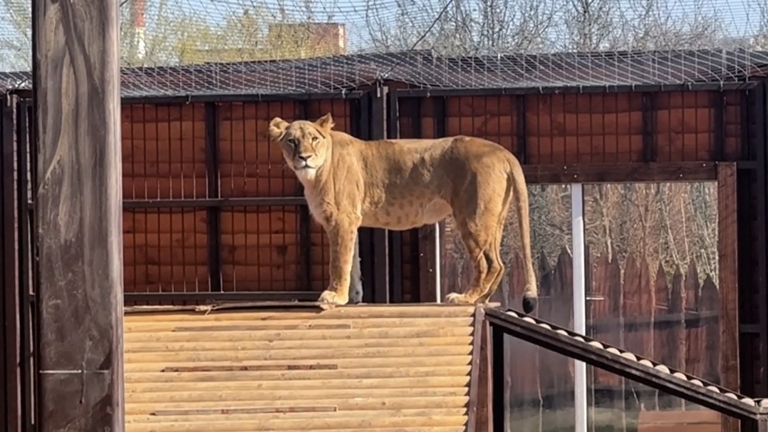 Киара не стесняется