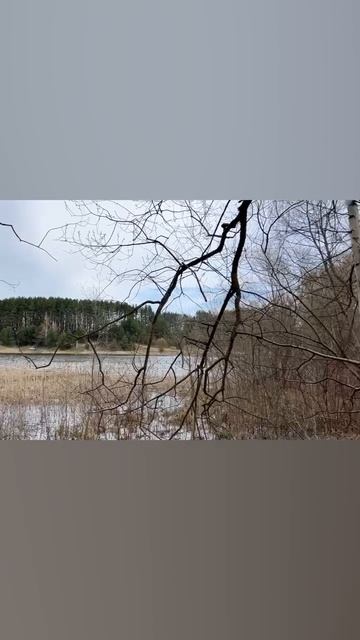 участок у озера