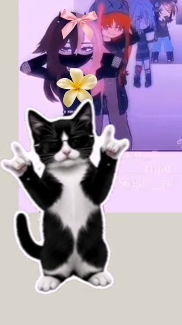 Я лучше этих тянок?