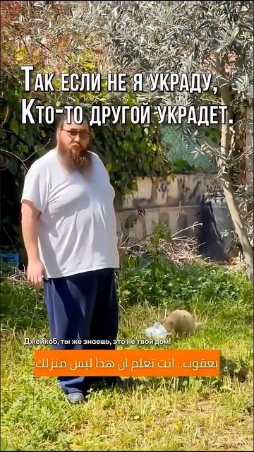 Как происходит процесс оккупации, неозвучимаемый никаким СМИ в России, Европе, США и др странах