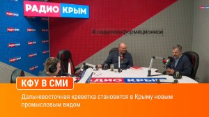 Дальневосточная креветка становится в Крыму новым промысловым видом