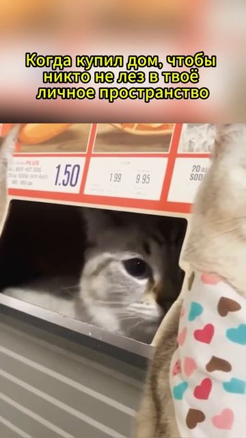 #юмор #дом #соседи #скгаз