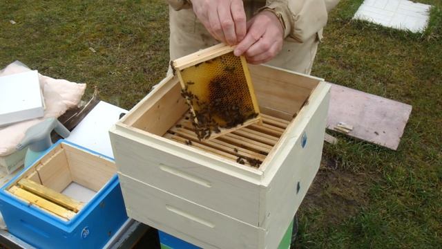 Улей Удав. Часть 4.