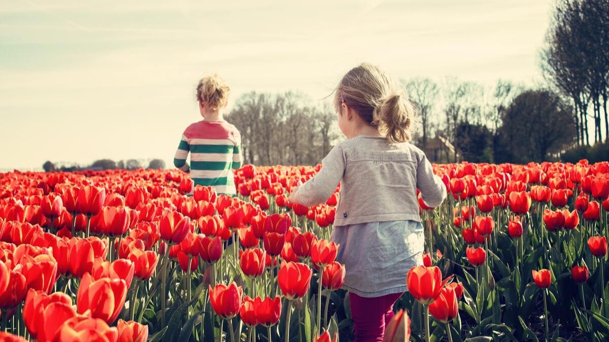 Я из будущего. Песня на стихи Раисы Йилдырим