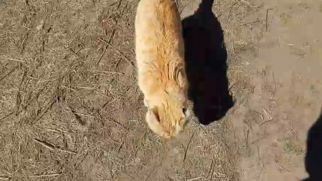 13 апреля обо всём 🤗