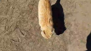 13 апреля обо всём 🤗