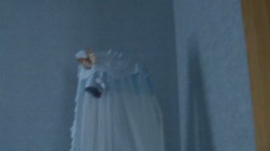 2)ДЕНЬ ВСТРЕЧИ С РОДДОМА(2008 ГОД ИЮНЬ)