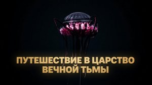 Путешествие в царство вечной тьмы: неземная красота океанских глубин..