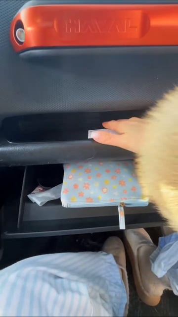 Ждём эвакуатор  главный страх еще на него заехать