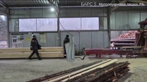 БАРС 5 в Молодечненском лесхозе. Республика Беларусь.