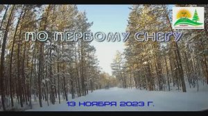 По первому снегу