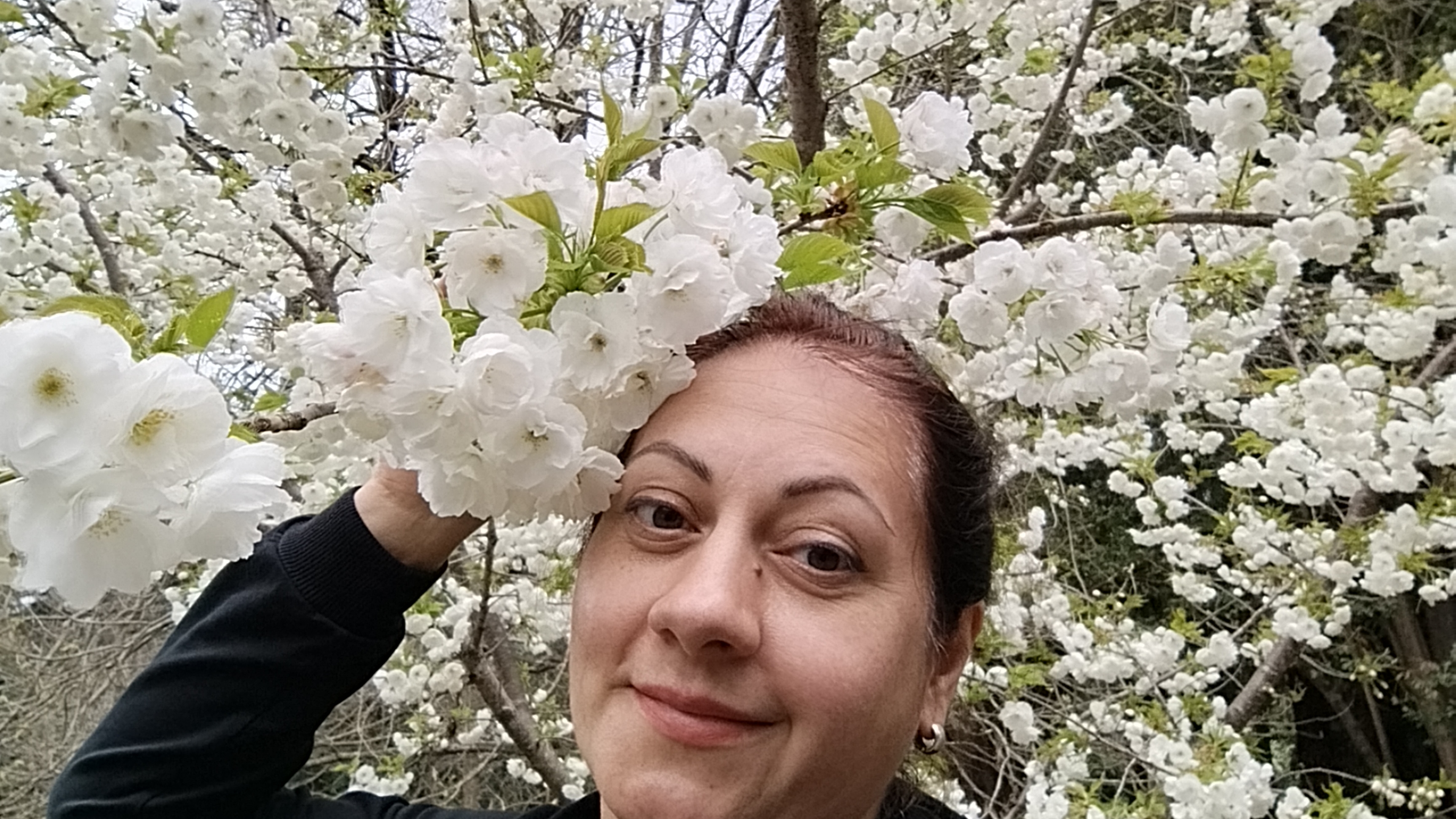 И смех и Грех. Видео ответ. Почему я не снимала репортажи из Сочи???