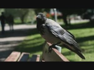 15 апреля - Тит Ледолом. Традиции и народные приметы