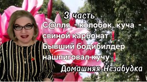 3 часть. С@пля - колобок, куча - свиной карбонат❗️Браво👏❗️Бывший бодибилдер нашпиговал тушу❗️