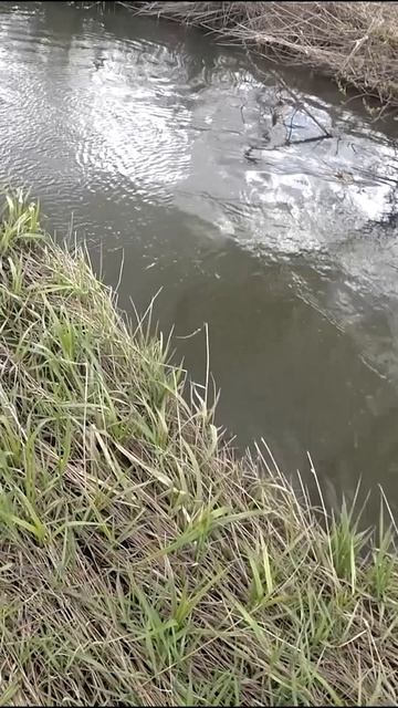 ПОЙМАЛ щуку с БОНУСОМ. Рыбалка на микро-речке