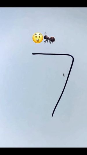 Почему муравьи боятся простой лини ____🖍️