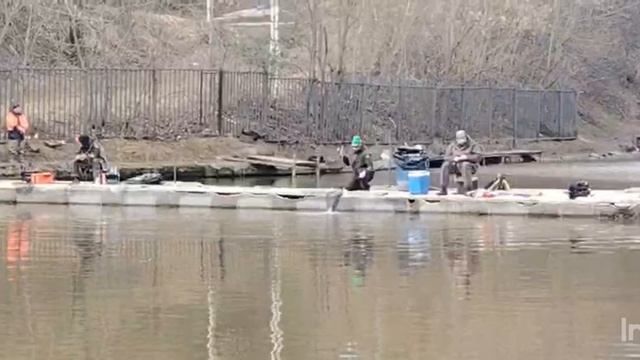 Спортзона.Поимки