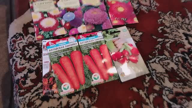 Моя рассада цветов. Подготовка к Пасхе. Муз.видео на мой стих.