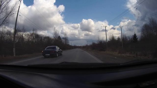 Торопыге гайцы сели на хвост