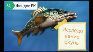Исследование окунь на Днепре