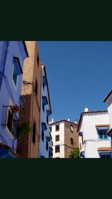 #удивительноевидео #познавательное #невероятныеистории #фантастическиевидео #захватывающиепригоды #