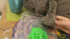 Басик играет с лизуном