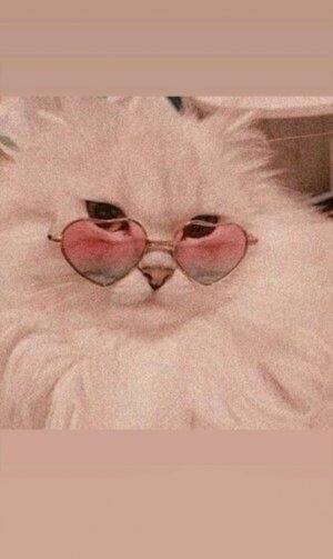 делаю уроки ребятушки и болтаю с вами🤗