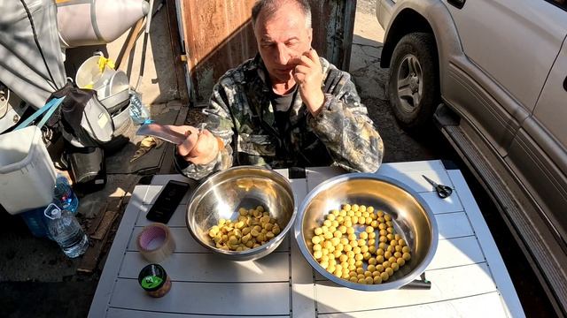 Бойлы прикормочные насадочные Их характеристики