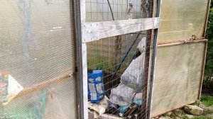 Моё беспокойное хозяйство