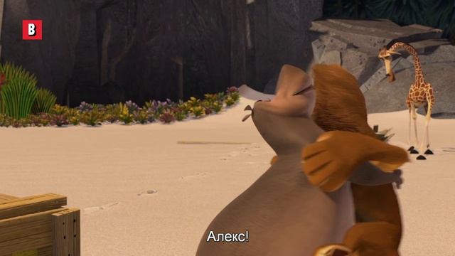 отрывок из мультфильма Мадагаскар