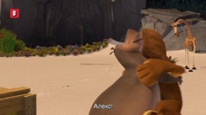 отрывок из мультфильма Мадагаскар