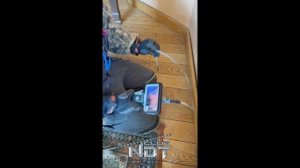 Jprobe ux pro видеоэндоскоп применение на практике при обследовании зданий