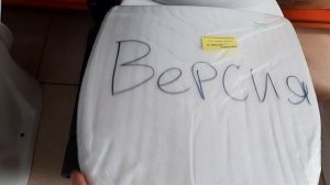 15-04-2026  #влоговый приехала за унитазом