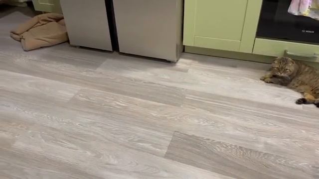 Жизнь вне орхидей - аномальная ПОГОДА вносит СВОИ планы и СМЫВАЕТ урожай - МИТЯ греет полы в ДОМЕ