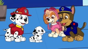 Щенячий патруль мультфильм для детей - День в Бухте Приключений - Мультики для малышей